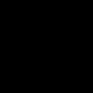 Meet your Posher, Isaac